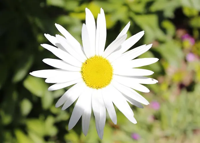 Cabicastro Tres Estrellas Superior Hotel apartamentowy Portonovo